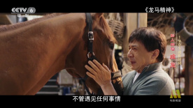 91视频老司机